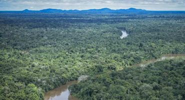 Amazônia. Foto: Divulgação/Ibama — Foto: CBN