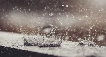 Foto: istock