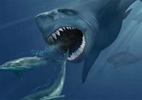 Megalodon: tubarão se alimentava de baleias anãs (Reprodução/Wikimedia Commons)