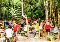 Parque Municipal realiza atividades da Ecoférias no final de semana