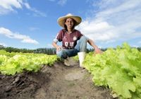 Encontro debate alternativas para o Nordeste rural e uma política de irrigação para a agricultura