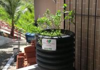 Mini-hortas serão distribuídas a 20 moradores da Grota da Macaxeira